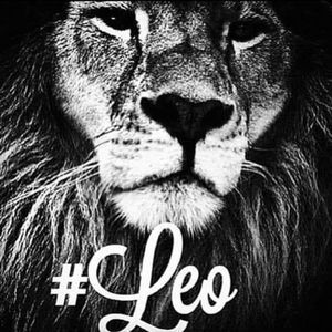 Meet your Posher, Santana